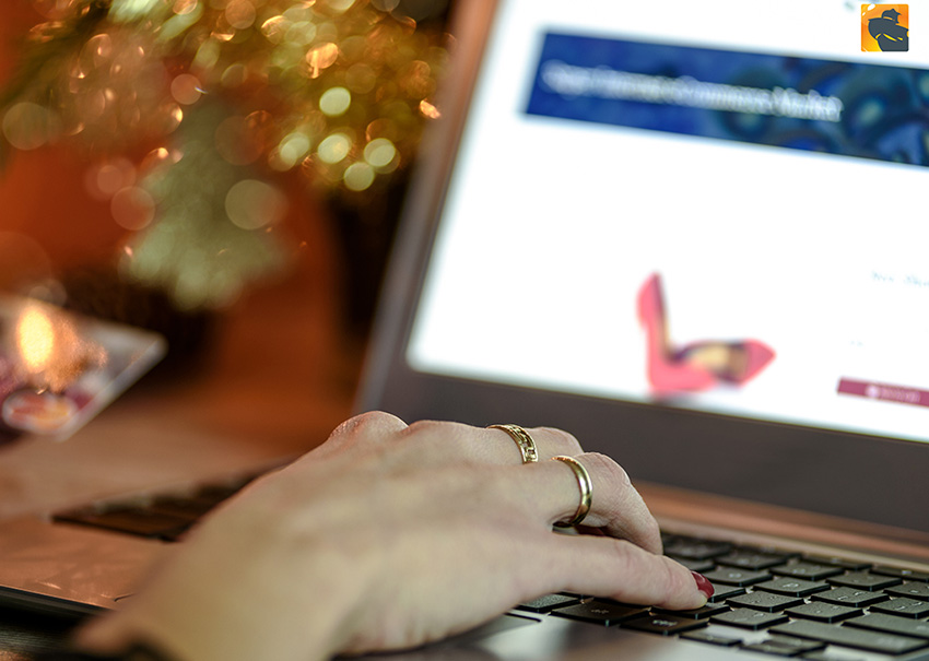 Stay Safe This Holiday Shopping Season: Eleven Tips to Protect Your Data