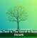 Scalable Tech Is The Secret to Sustainable Growth